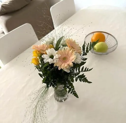 Roeoeperi - 50 M2 - Balcony Design District