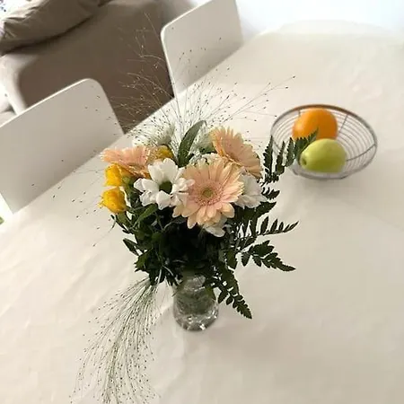 Roeoeperi - 50 M2 - Balcony Design District